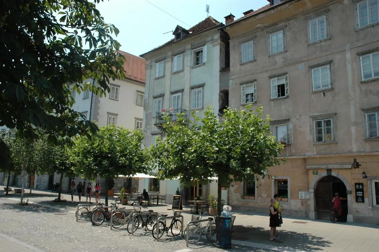 Vitez Apartment I Ljubljana 0*,